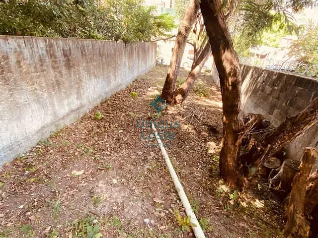 Terreno com 129m², à venda, no bairro Casa Branca em Belo Horizonte