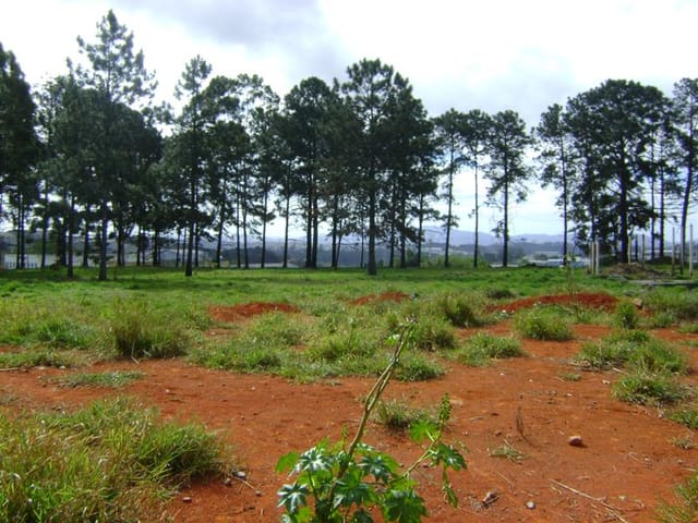 Foto do Terreno - ** TERRENO ESPAÇOSO DE 2.746,80M² À VENDA EM ITAQUAQUECETUBA COM POTENCIAL ILIMITADO - Para Mais Informações Corretor Alex Camargo (11) 94009-6980 !!! ** | Rocha Marqueze Imóveis