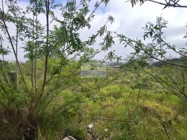 Terreno com 23500m², à venda, no bairro Cooperativa em São Bernardo do Campo