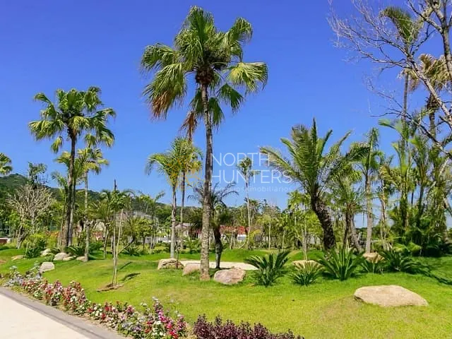 Terreno com 1539m², à venda, no bairro Ingleses do Rio Vermelho em Florianópolis