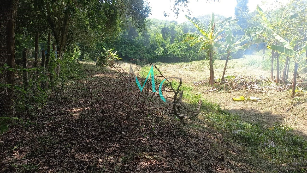 Terreno, 10000 m² - Foto 6