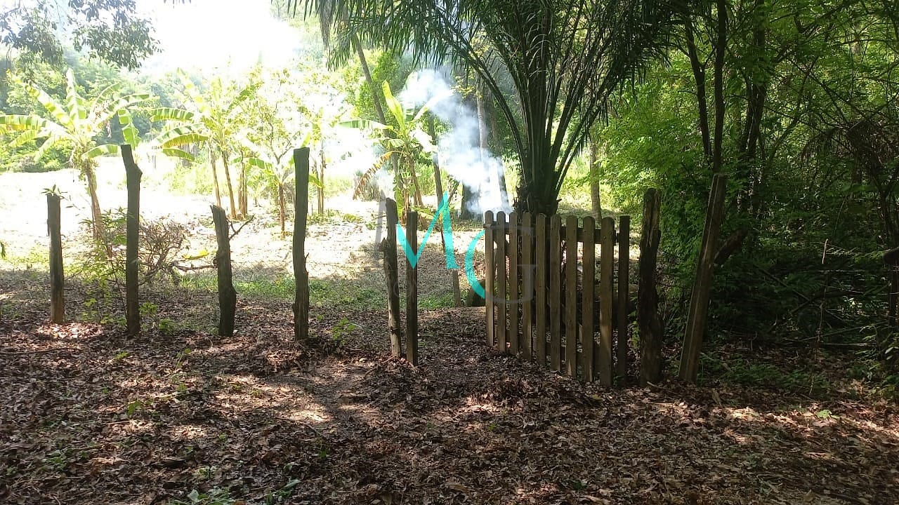 Terreno, 10000 m² - Foto 2