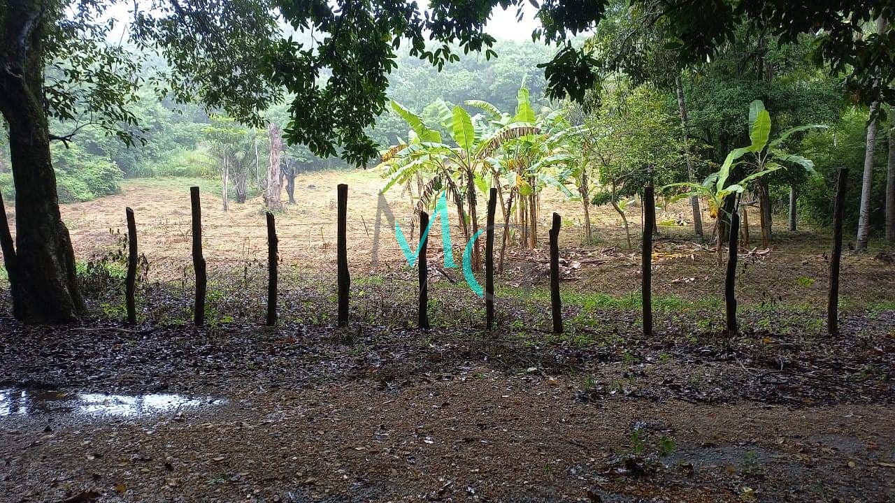 Terreno, 10000 m² - Foto 4