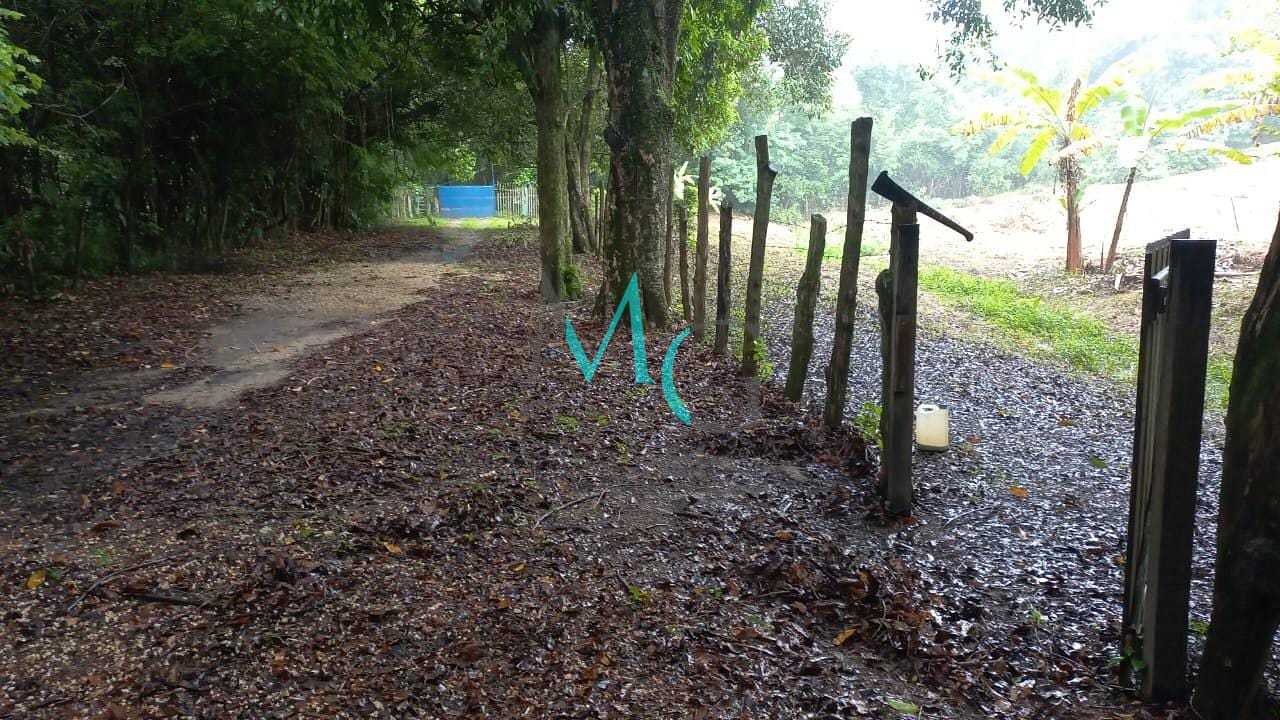 Terreno, 10000 m² - Foto 3