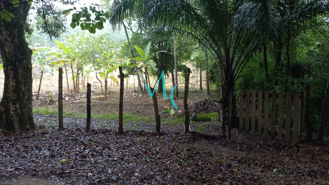 Terreno, 10000 m² - Foto 5