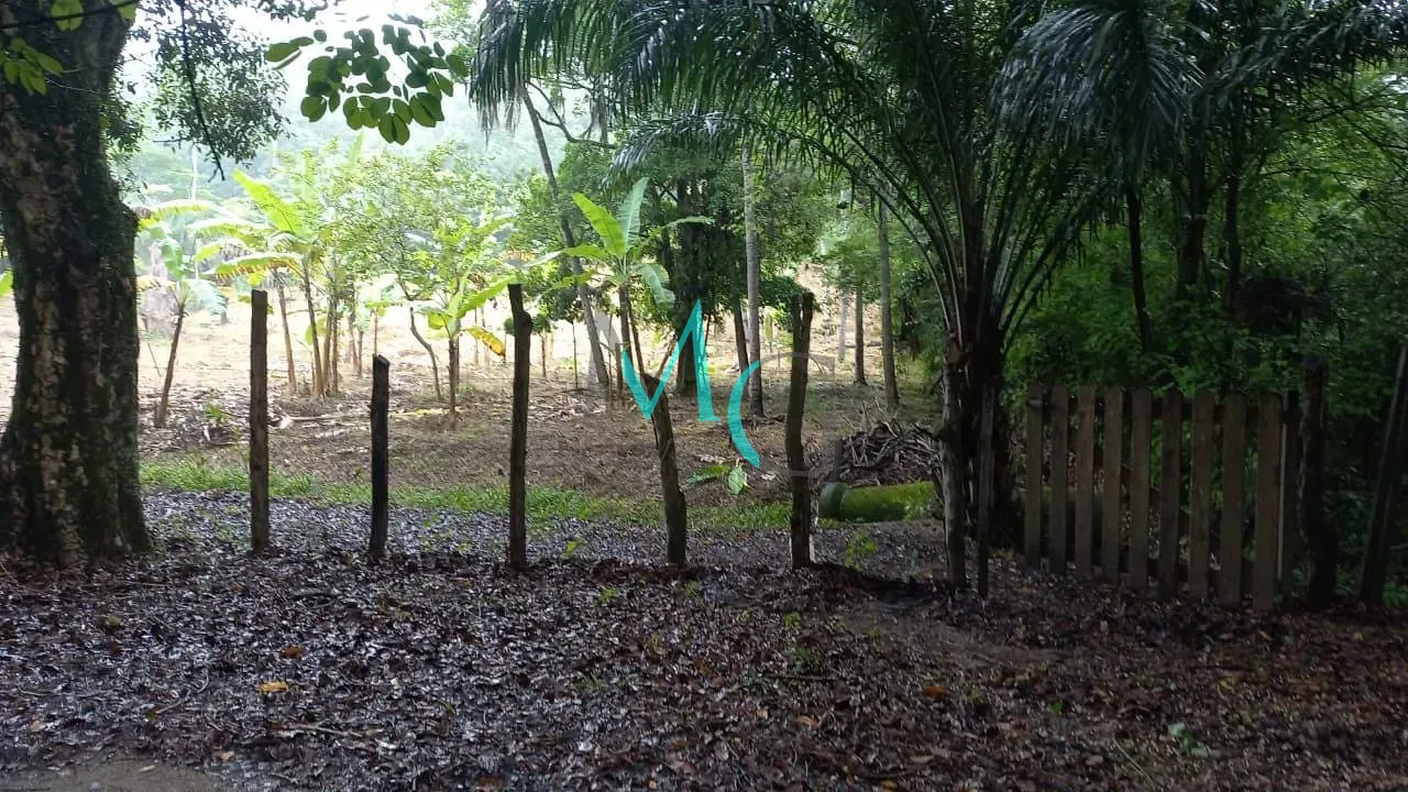 Terreno, 10000 m² - Foto 5