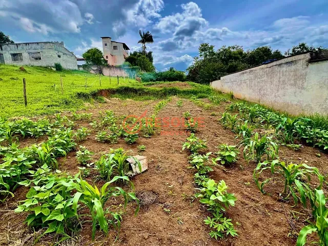 Terreno com 500m², à venda, no bairro Santa Tereza em Santa Branca