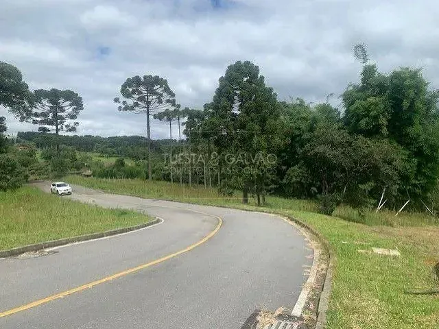 Terreno com 1m², à venda, no bairro Vila Conceição em Campo Largo