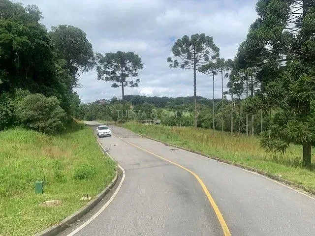 Terreno com 1m², à venda, no bairro Vila Conceição em Campo Largo