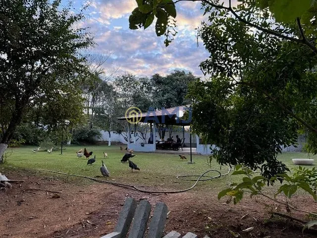 Terreno com 21010m², à venda, no bairro Chácara São Pedro em Aparecida de Goiânia