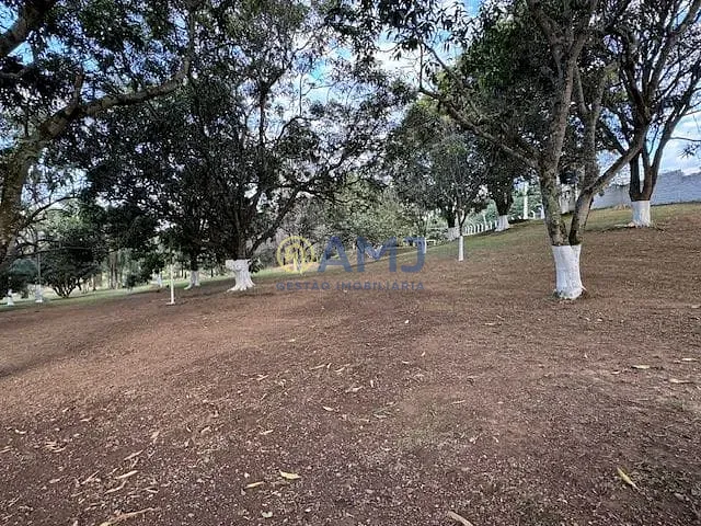 Terreno, 2 hectares - Foto 7