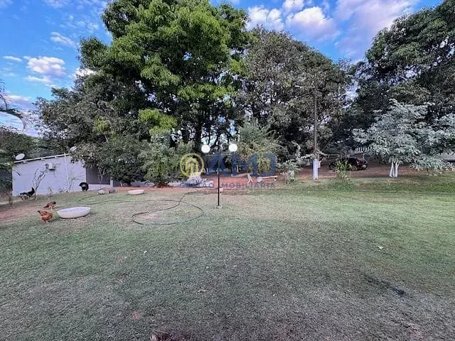 Terreno, 2 hectares - Foto 17