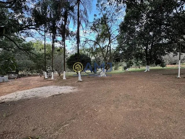 Terreno, 2 hectares - Foto 8