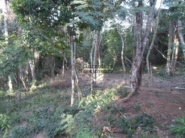 Terreno com 4800m², à venda, no bairro Funil em Santa Branca
