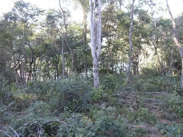 Terreno com 4800m², à venda, no bairro Funil em Santa Branca