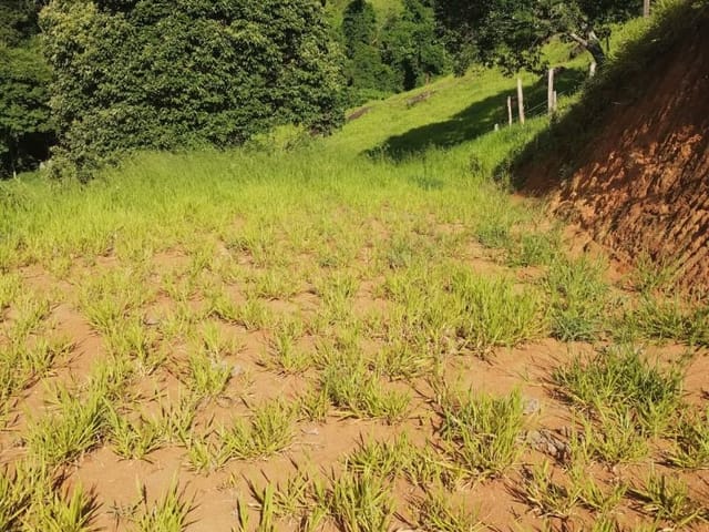 Terreno com 1000m², à venda, no bairro Bairro dos Ferraz em Córrego do Bom Jesus
