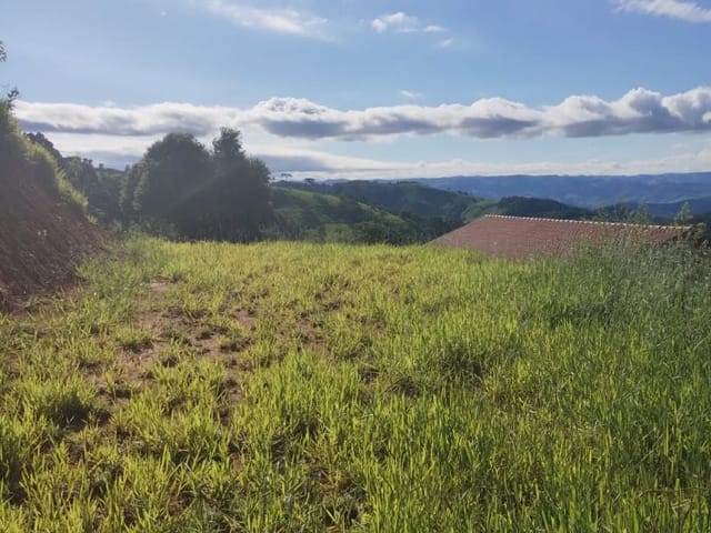 Terreno com 1000m², à venda, no bairro Bairro dos Ferraz em Córrego do Bom Jesus