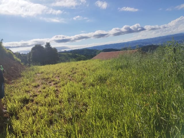 Terreno com 1000m², à venda, no bairro Bairro dos Ferraz em Córrego do Bom Jesus