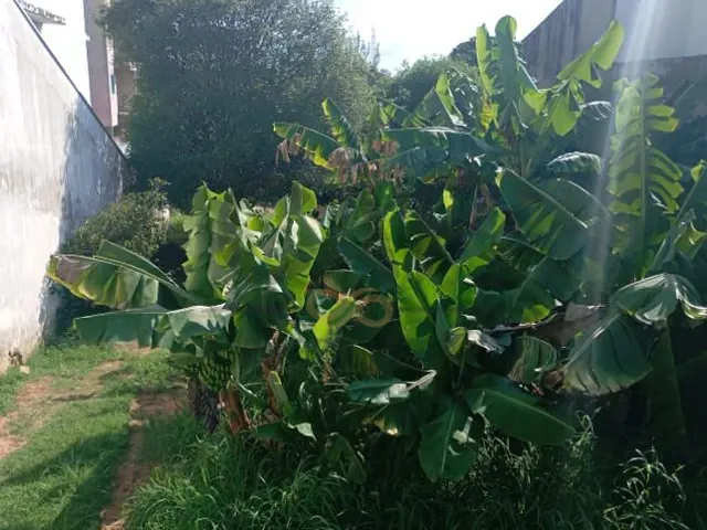 Terreno com 1250m², à venda, no bairro Jardim Sônia em Jaguariúna