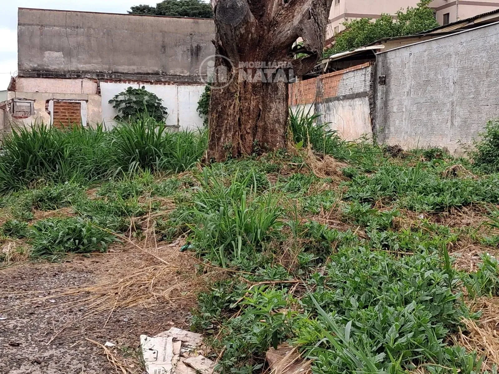 Terreno, 400 m² - Foto 3