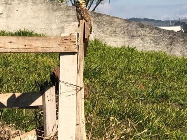 Foto do Terreno - Terreno à venda, 1600 m² por R$ 615.000,00 - Parque Mirante Do Vale - Jacareí/SP | RUSSI IMÓVEIS