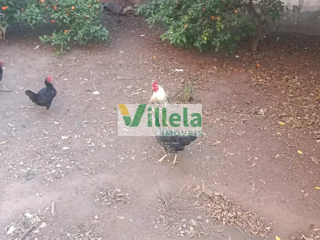 Terreno com 320m², à venda, no bairro Jardim Bela Vista em Poá