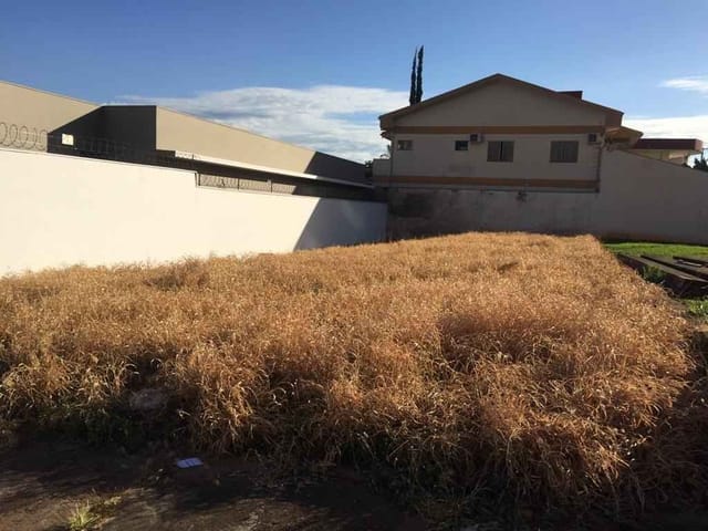 Foto do Terreno - Terreno com Excelente Localização no Altos da Cidade, Bauru, SP | Zwicker Imóveis