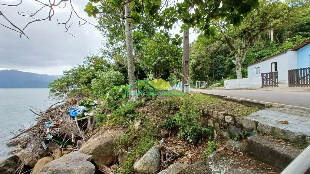 Terreno, 8 hectares - Foto 11