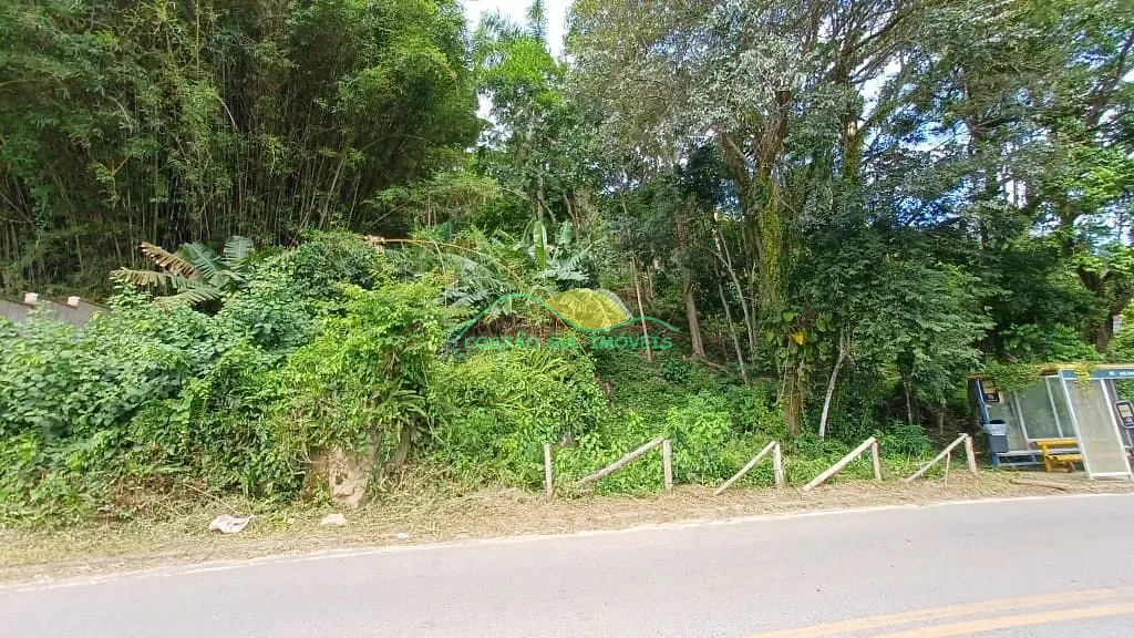 Terreno, 8 hectares - Foto 4