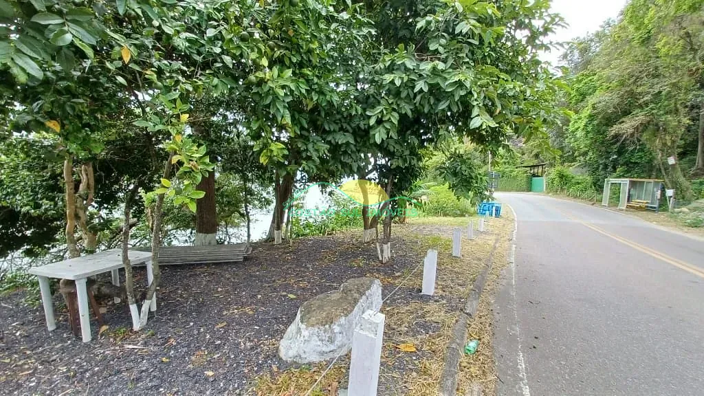 Terreno, 8 hectares - Foto 9