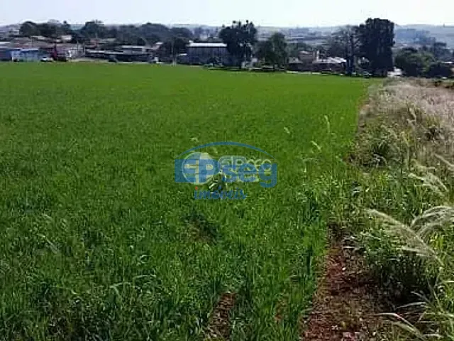 Terreno com 12842m², à venda, no bairro Parque Industrial José Belinati em Londrina