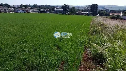 Terreno, 1 hectares - Foto 5