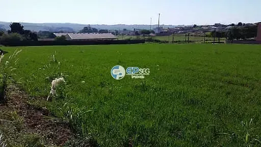 Terreno, 1 hectares - Foto 4