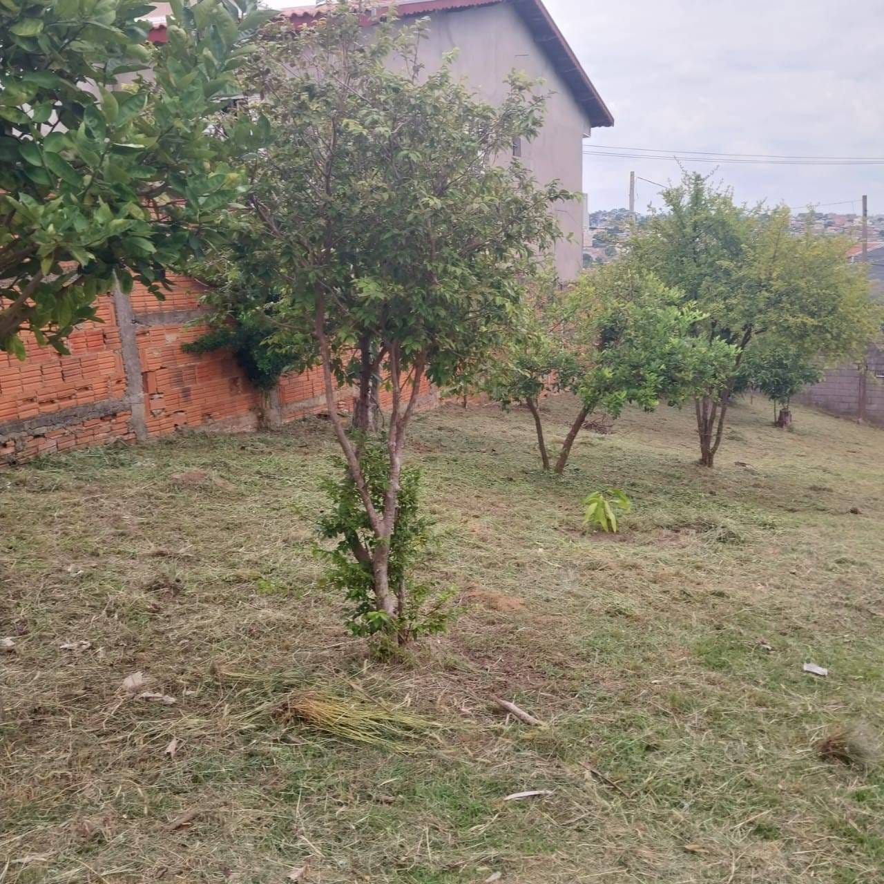 Terreno, 412 m² - Foto 13