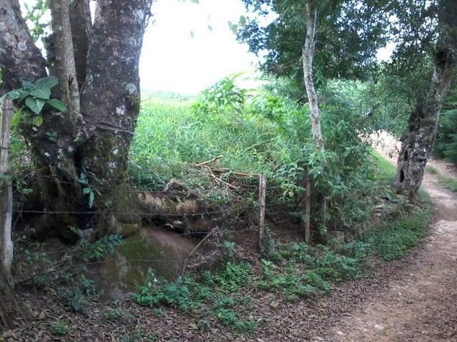 Foto do Terreno - Área  rural à venda, Paiol Grande, São Bento do Sapucaí. | INDEPENDENCE NEGOCIOS IMOBILIARIOS LTDA