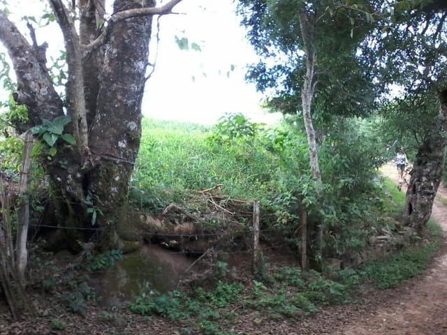 Foto do Terreno - Área  rural à venda, Paiol Grande, São Bento do Sapucaí. | INDEPENDENCE NEGOCIOS IMOBILIARIOS LTDA