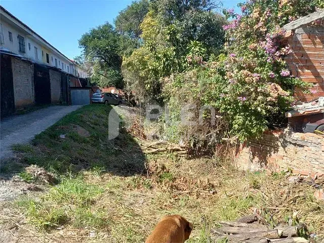 Terreno com 450m², à venda, no bairro Limão em São Paulo