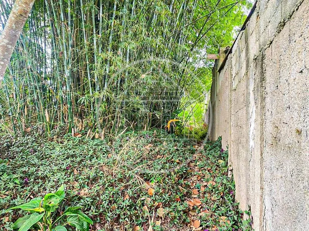 Terreno, 504 m² - Foto 3
