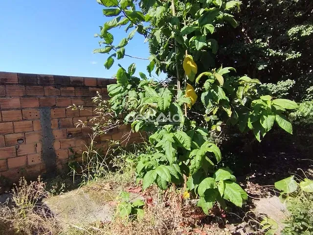 Terreno com 364m², à venda, no bairro Santa Mônica em Belo Horizonte