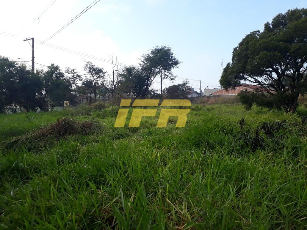 Terreno, 4 hectares - Foto 1