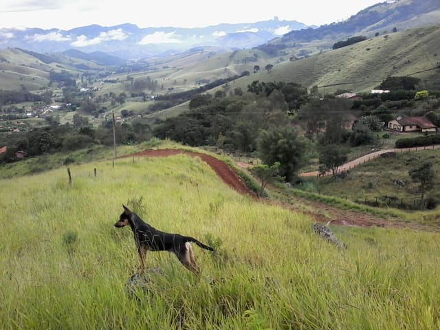Foto do Terreno - Área  rural à venda, Paiol Grande, São Bento do Sapucaí. | INDEPENDENCE NEGOCIOS IMOBILIARIOS LTDA