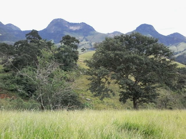 Foto do Terreno - Área  rural à venda, Paiol Grande, São Bento do Sapucaí. | INDEPENDENCE NEGOCIOS IMOBILIARIOS LTDA