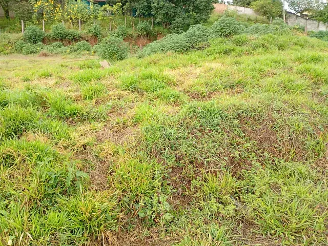 Terreno com 474m², à venda, no bairro Morada dos Pássaros em Poços de Caldas