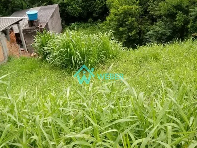 Terreno com 424m², à venda, no bairro Ideal em Novo Hamburgo