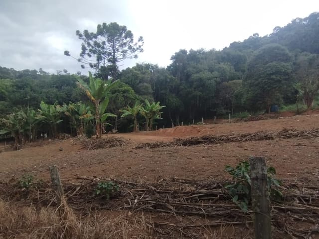 Terreno com 3000m², à venda, no bairro Serra dos Rodrigues em Cambuí