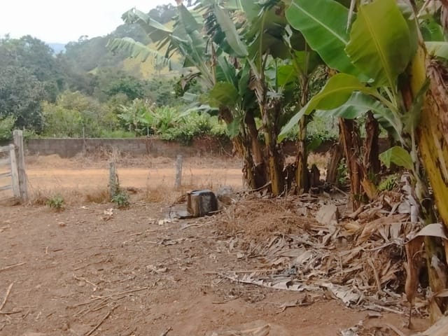 Terreno com 3000m², à venda, no bairro Serra dos Rodrigues em Cambuí