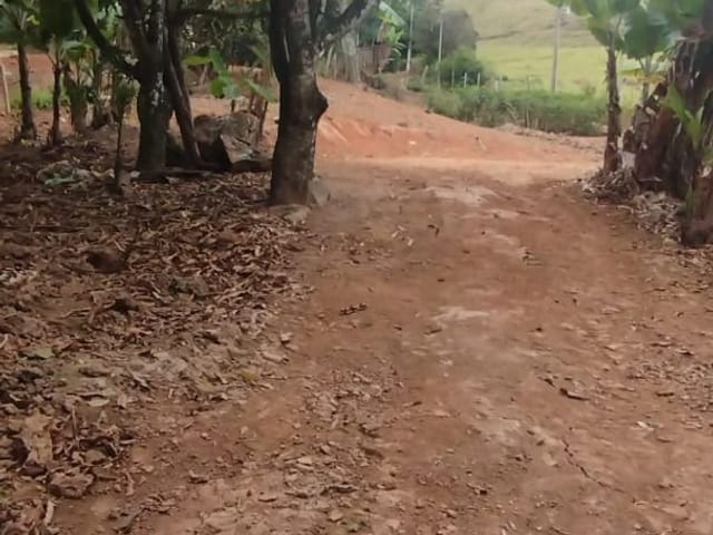 Terreno com 3000m², à venda, no bairro Serra dos Rodrigues em Cambuí