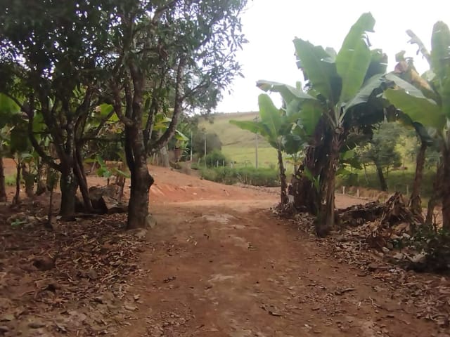 Terreno com 3000m², à venda, no bairro Serra dos Rodrigues em Cambuí