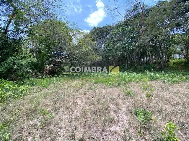 Terreno com 37007m², à venda, no bairro Colonia São Braz em Santarém