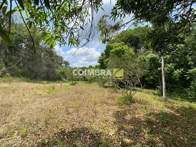 Terreno com 37007m², à venda, no bairro Colonia São Braz em Santarém